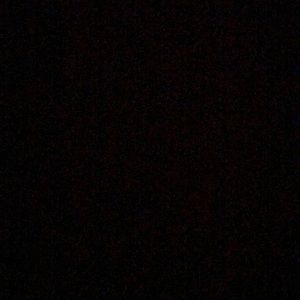 Meet your Posher, Maggie